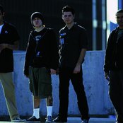 The Dingees - List pictures