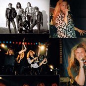 Krokus - List pictures