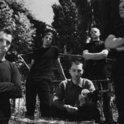 Cadaverous Condition - List pictures