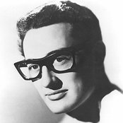 Holly Buddy - List pictures