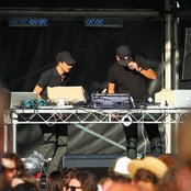 Tiger & Woods - List pictures