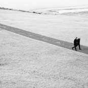 The Mary Onettes - List pictures