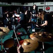 Normal Like You - List pictures