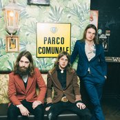 Dewolff - List pictures