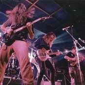 Acid Death - List pictures