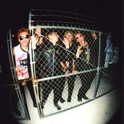 The Briefs - List pictures