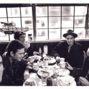 The Wallflowers - List pictures