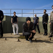 Negramaro - List pictures