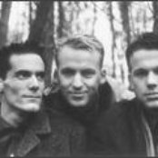 Camouflage - List pictures