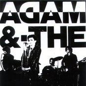 Adam And The Ants - List pictures