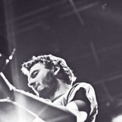 Three Trapped Tigers - List pictures