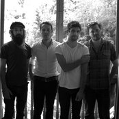 White Violet - List pictures