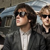 Wombats - List pictures