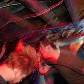 Lana Avacada - List pictures