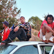 Pac Div - List pictures