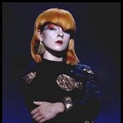 Toyah - List pictures