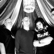 Darwin's Waiting Room - List pictures