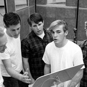 Beach Boys - List pictures