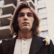 Dennis Wilson - List pictures