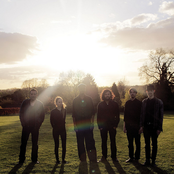 Melt Yourself Down - List pictures