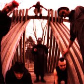 American Head Charge - List pictures