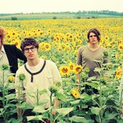 Kooks - List pictures