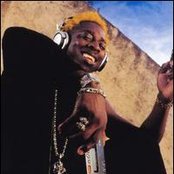 Elephant Man - List pictures