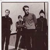 Gene - List pictures