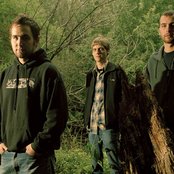 Pelican - List pictures