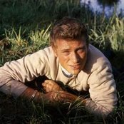 Hallyday Johnny - List pictures