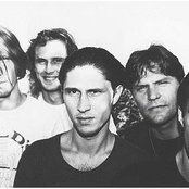 Nautilus Pompilius - List pictures