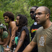 Rootz Underground - List pictures