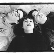 The Muffs - List pictures