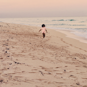 Tink - List pictures