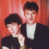 Soft Cell - List pictures