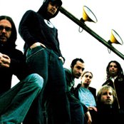 Dreadlock Pussy - List pictures