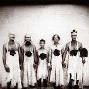 Sleepytime Gorilla Museum - List pictures