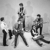 Squeeze - List pictures