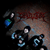 Oblivion - List pictures