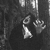 Darkwoods My Betrothed - List pictures