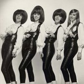 The Shangri-las - List pictures