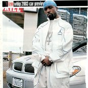 Havoc - List pictures