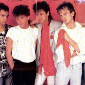 Crvena Jabuka - List pictures