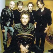 The Wallflowers - List pictures