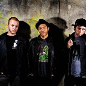 The Glitch Mob - List pictures