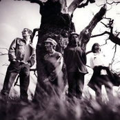 Ocean Colour Scene - List pictures