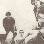 Elastica - List pictures