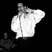 Wilderness - List pictures