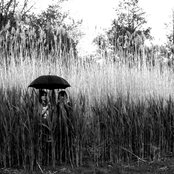 A Sunny Day In Glasgow - List pictures