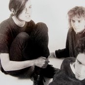 Blake Babies - List pictures